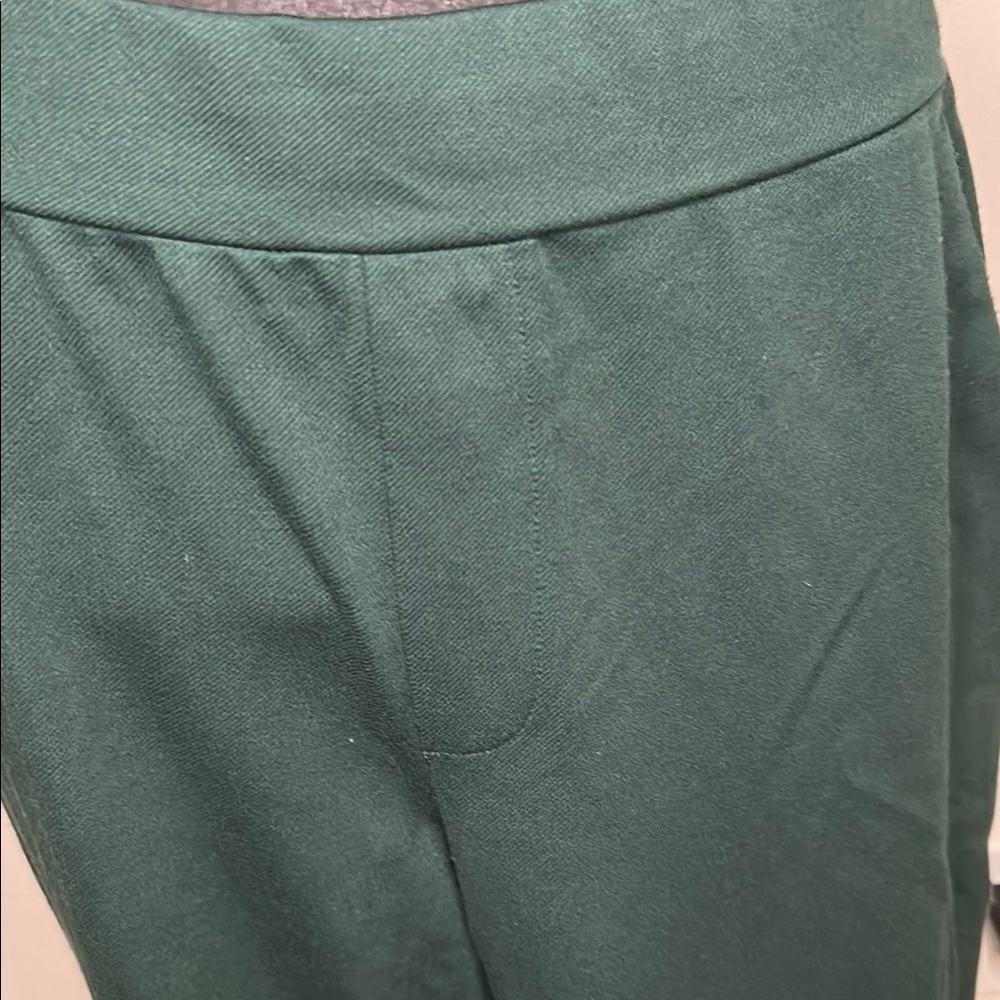 Jason WU wide leg Green Women's Pants - Picture 3 of 9